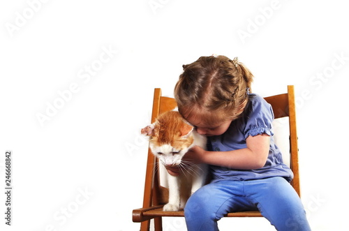 little funny girl and her angry cat. child and adult cat isolated on white background. toddler girl hugging a cat 