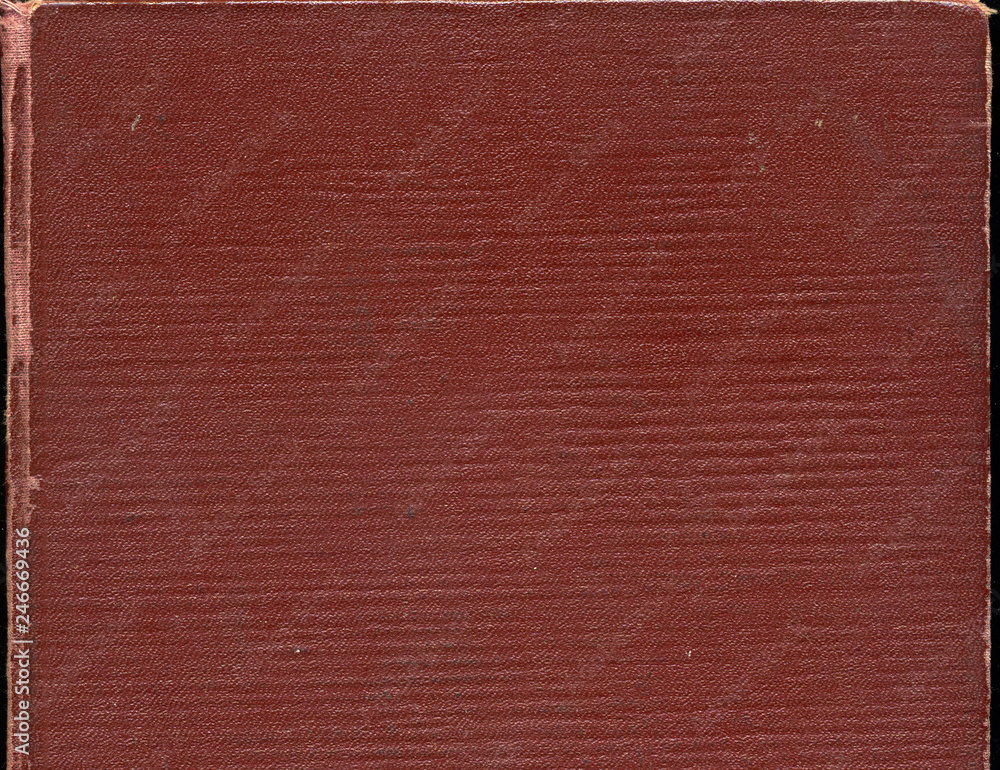 Fototapeta premium The texture of the cover of the old book. Old book cover, vintage texture.