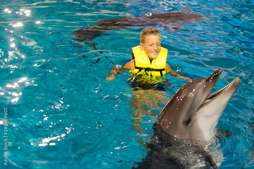Happy little boy swimming with the dolphins