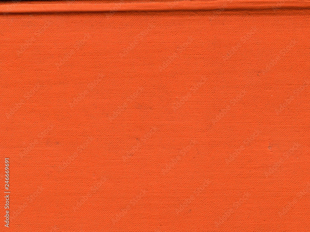 Fototapeta premium The texture of the cover of the old book. Old book cover, vintage texture.