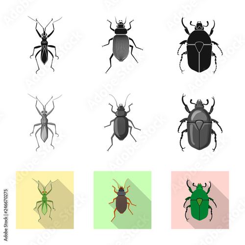 Isolated object of insect and fly symbol. Set of insect and element stock symbol for web. © Svitlana