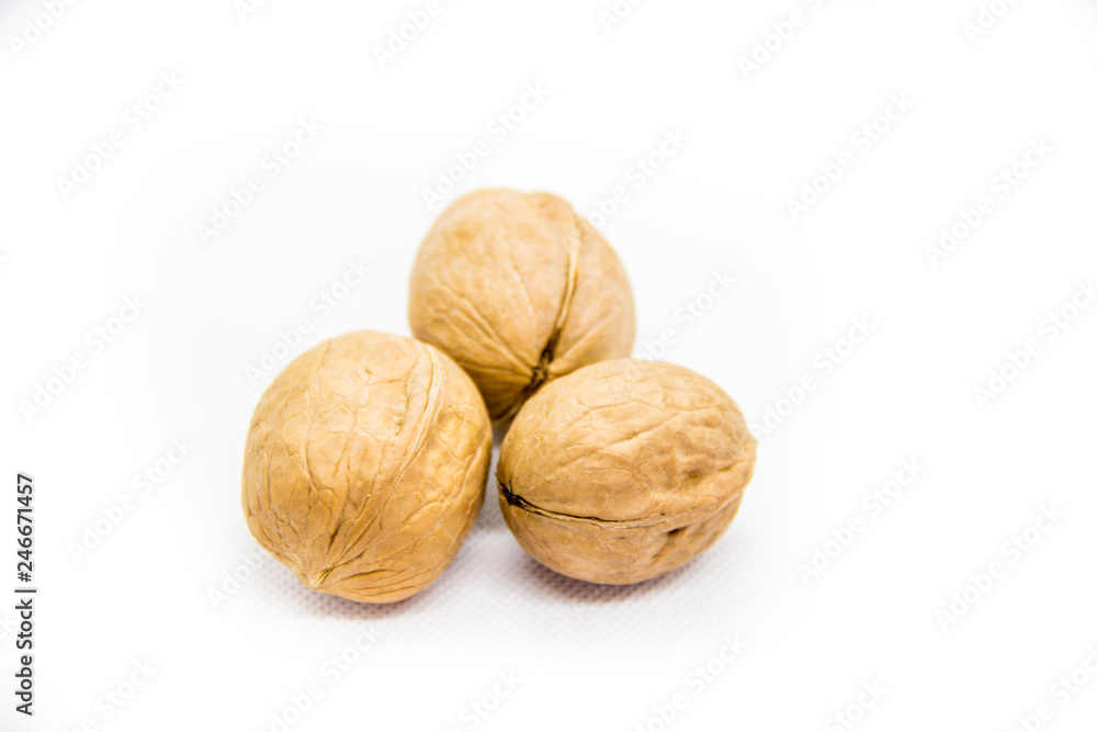 walnut in the campsite on white background walnut in the campsite on white background