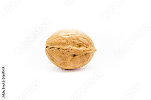 one indoor walnut in the campsite on white background
