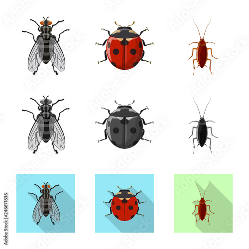 Vector illustration of insect and fly logo. Collection of insect and element vector icon for stock. © Svitlana