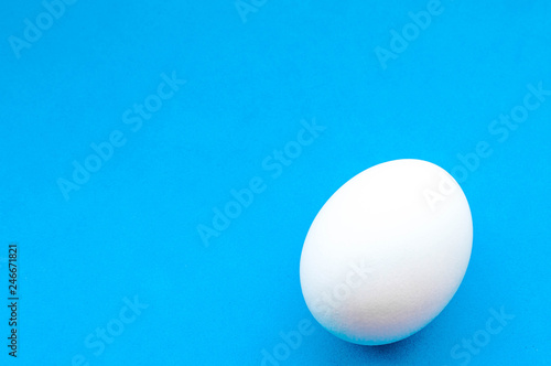 White chicken egg on blue background