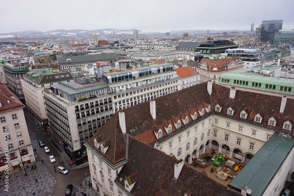 View of winter Vienna from the tower of St. Stephen’s Cathedral.