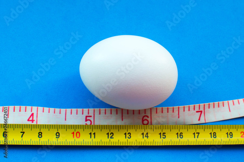 White egg on a blue background. Two roulettes of different measurement systems