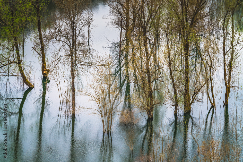 Obraz premium Green and yellow autumn trees reflected in the lake