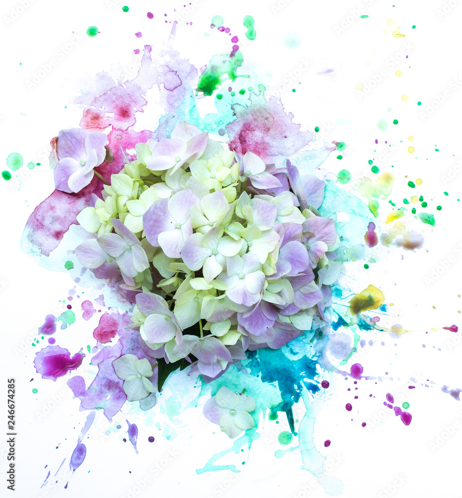 beautiful flowers on watercolor background