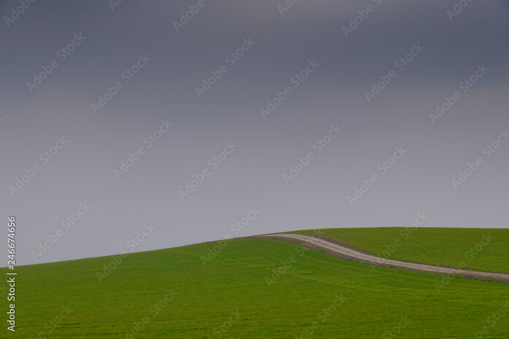 dirt road in green field with tree in blue sky
