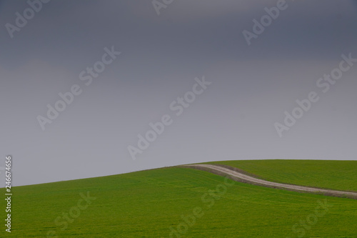 dirt road in green field with tree in blue sky © AMAR
