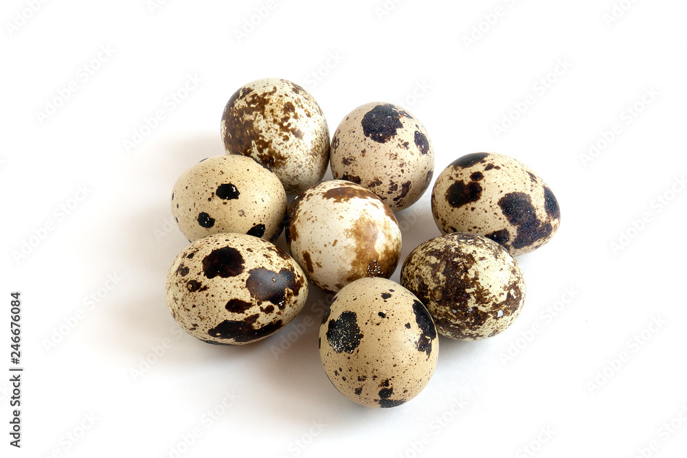 quail eggs isolated on white background quail eggs isolated on white background