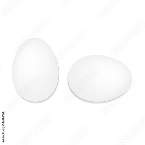 white eggs on a white background- vector illustration