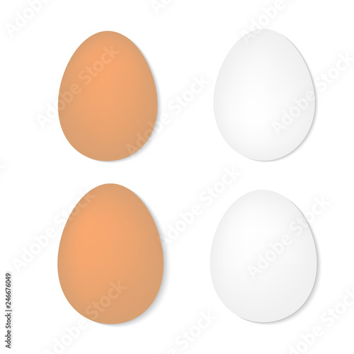 set of eggs on a white background- vector illustration