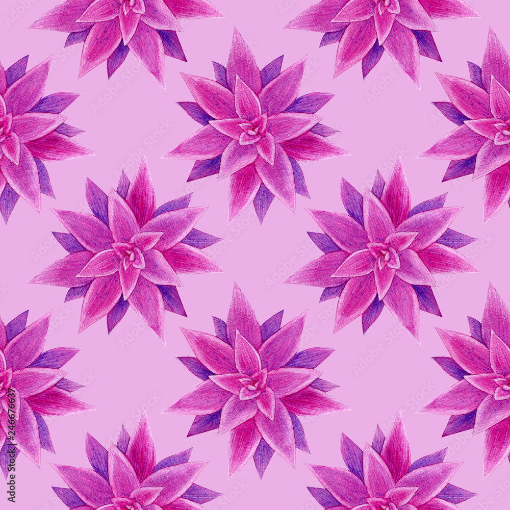 Purple succulents seamless pattern. Watercolor hand drawn painting illustration. High resolution 600 dpi. Isolated on light pink background. Color of background can be easily changed