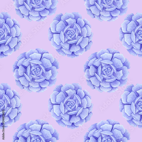 Violet succulents seamless pattern. Watercolor hand drawn painting illustration. High resolution 600 dpi. Isolated on light pink background. Color of background can be easily changed