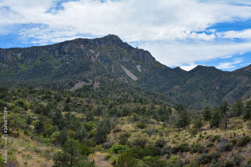 Southwest Texas landscape in Big Bend National Park Southwest Texas landscape in Big Bend National Park