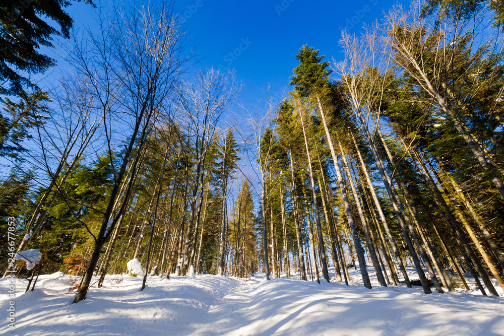 Winter trekking Beskidy mountains Rysianka Winter trekking Beskidy mountains Rysianka