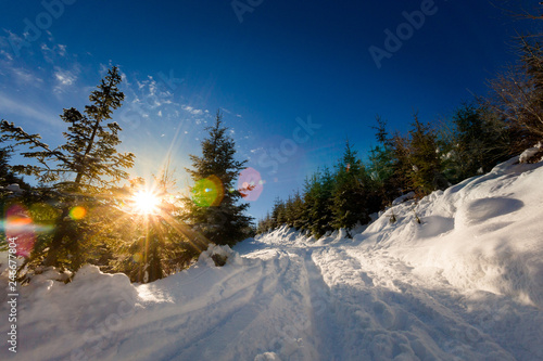 Fototapeta Naklejka Na Ścianę i Meble -  Winter trekking Beskidy mountains Rysianka