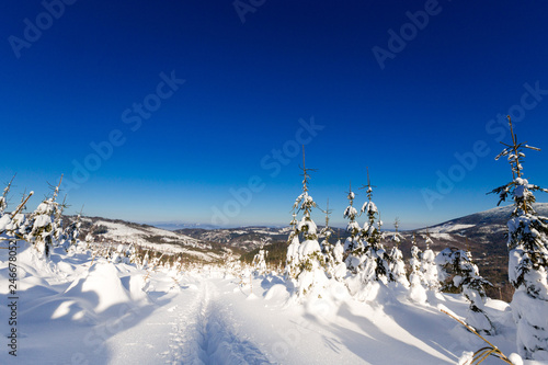 Fototapeta Naklejka Na Ścianę i Meble -  Winter trekking Beskidy mountains Rysianka