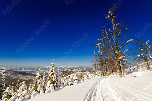 Fototapeta Naklejka Na Ścianę i Meble -  Winter trekking Beskidy mountains Rysianka