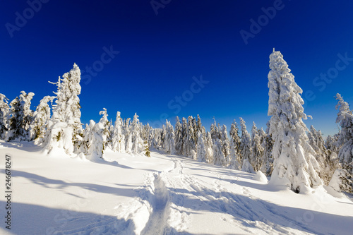 Fototapeta Naklejka Na Ścianę i Meble -  Winter trekking Beskidy mountains Rysianka