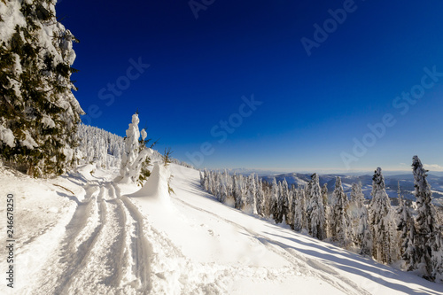 Fototapeta Naklejka Na Ścianę i Meble -  Winter trekking Beskidy mountains Rysianka