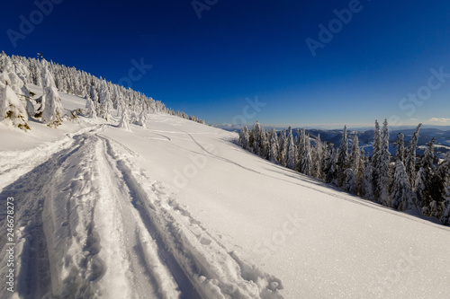 Fototapeta Naklejka Na Ścianę i Meble -  Winter trekking Beskidy mountains Rysianka