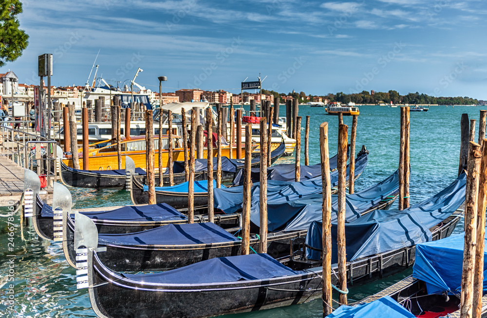 Blue Tarped Gondolas at San Marco Basin