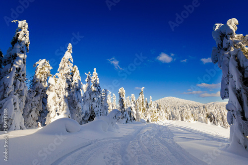 Fototapeta Naklejka Na Ścianę i Meble -  Winter trekking Beskidy mountains Rysianka