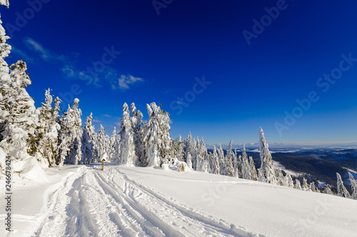 Fototapeta Naklejka Na Ścianę i Meble -  Winter trekking Beskidy mountains Rysianka