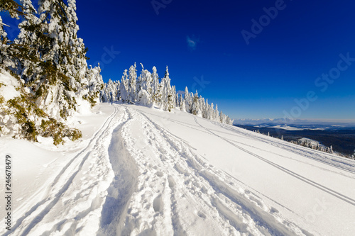 Fototapeta Naklejka Na Ścianę i Meble -  Winter trekking Beskidy mountains Rysianka