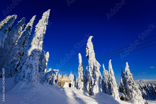 Fototapeta Naklejka Na Ścianę i Meble -  Winter trekking Beskidy mountains Rysianka