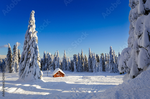 Fototapeta Naklejka Na Ścianę i Meble -  Winter trekking Beskidy mountains Rysianka