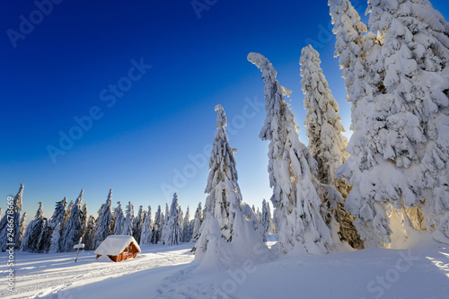 Fototapeta Naklejka Na Ścianę i Meble -  Winter trekking Beskidy mountains Rysianka