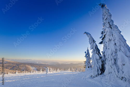 Fototapeta Naklejka Na Ścianę i Meble -  Winter trekking Beskidy mountains Rysianka