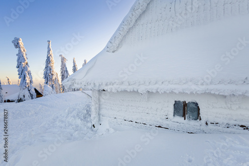 Fototapeta Naklejka Na Ścianę i Meble -  Winter trekking Beskidy mountains Rysianka