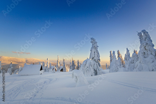 Fototapeta Naklejka Na Ścianę i Meble -  Winter trekking Beskidy mountains Rysianka