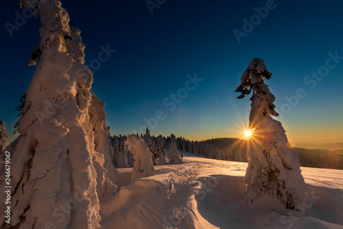 Fototapeta Naklejka Na Ścianę i Meble -  Winter trekking Beskidy mountains Rysianka