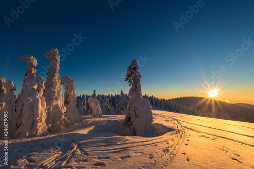 Fototapeta Naklejka Na Ścianę i Meble -  Winter trekking Beskidy mountains Rysianka