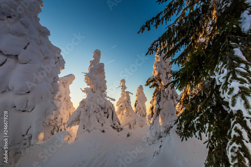 Fototapeta Naklejka Na Ścianę i Meble -  Winter trekking Beskidy mountains Rysianka