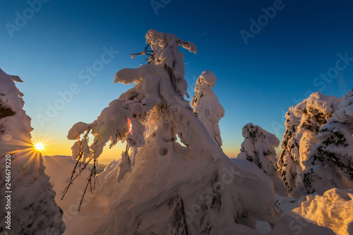 Fototapeta Naklejka Na Ścianę i Meble -  Winter trekking Beskidy mountains Rysianka