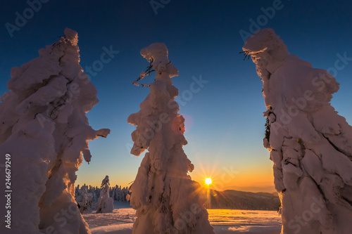 Fototapeta Naklejka Na Ścianę i Meble -  Winter trekking Beskidy mountains Rysianka