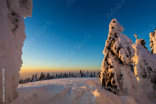 Fototapeta Naklejka Na Ścianę i Meble -  Winter trekking Beskidy mountains Rysianka