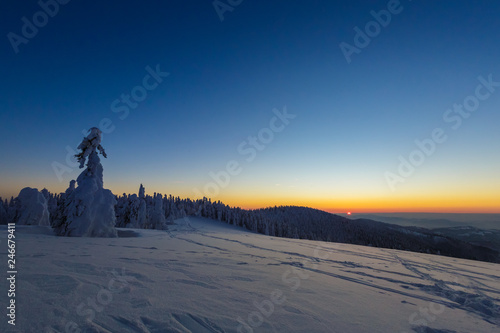 Fototapeta Naklejka Na Ścianę i Meble -  Winter trekking Beskidy mountains Rysianka