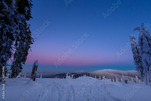 Fototapeta Naklejka Na Ścianę i Meble -  Winter trekking Beskidy mountains Rysianka