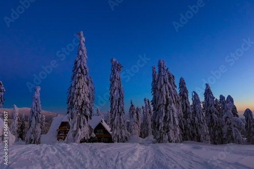 Fototapeta Naklejka Na Ścianę i Meble -  Winter trekking Beskidy mountains Rysianka