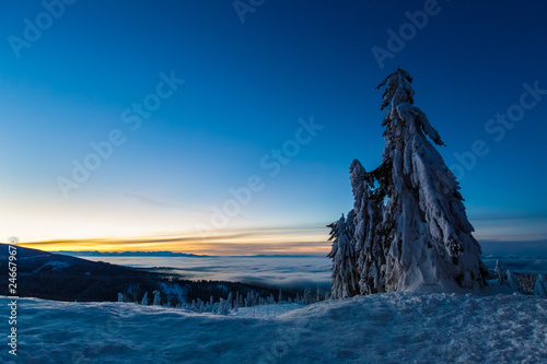 Fototapeta Naklejka Na Ścianę i Meble -  Winter trekking Beskidy mountains Rysianka