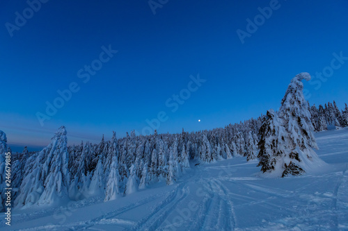 Fototapeta Naklejka Na Ścianę i Meble -  Winter trekking Beskidy mountains Rysianka