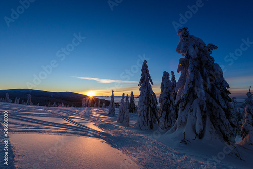 Fototapeta Naklejka Na Ścianę i Meble -  Winter trekking Beskidy mountains Rysianka